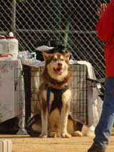 DSC00491t.jpg