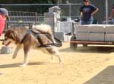 DSC00499t.jpg