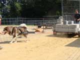 DSC00516t.jpg