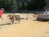 DSC00517t.jpg