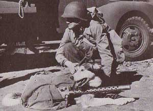 US Army pack dog with soldier