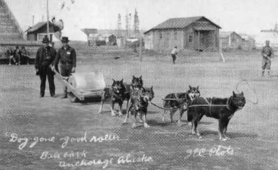 1916 Sleddog Ballfield Maintenance Team