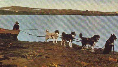 Sleddog Boat Towing Team