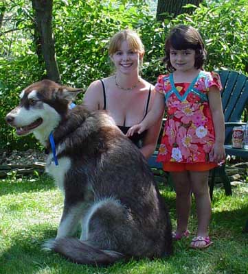 Cinnabar - Alaskan Malamute