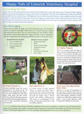 Cinnabar featured in Puppy Kindergarten photo