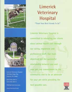 Cinnabar featured in Agility photo