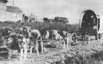 Sleddog Rail Team