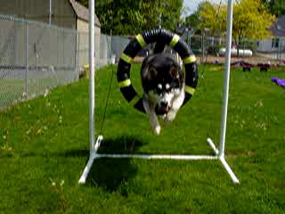Sebastian tire jump