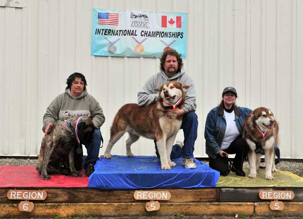 Cinnabar Bronze Medalist