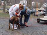 IWPA - Canine Weight Pull