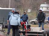 IWPA - Canine Weight Pull