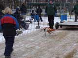 IWPA - Canine Weight Pull