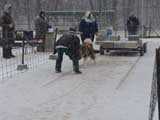 IWPA - Canine Weight Pull