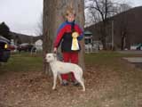 IWPA - Canine Weight Pull