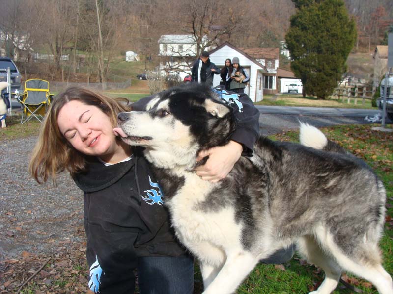 Canine Weight Pull