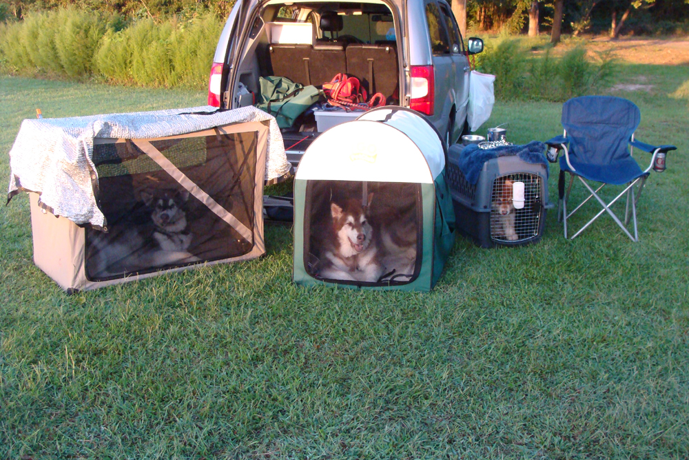 the boys camping out