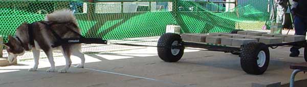 Cinnabar weightpulling