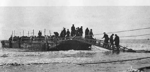 WWI - Alaska sled dogs bound for France